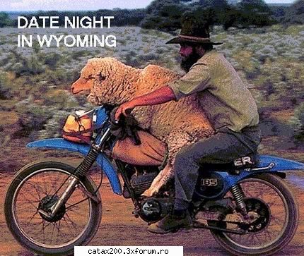 ha ha ha:@ imagini animale